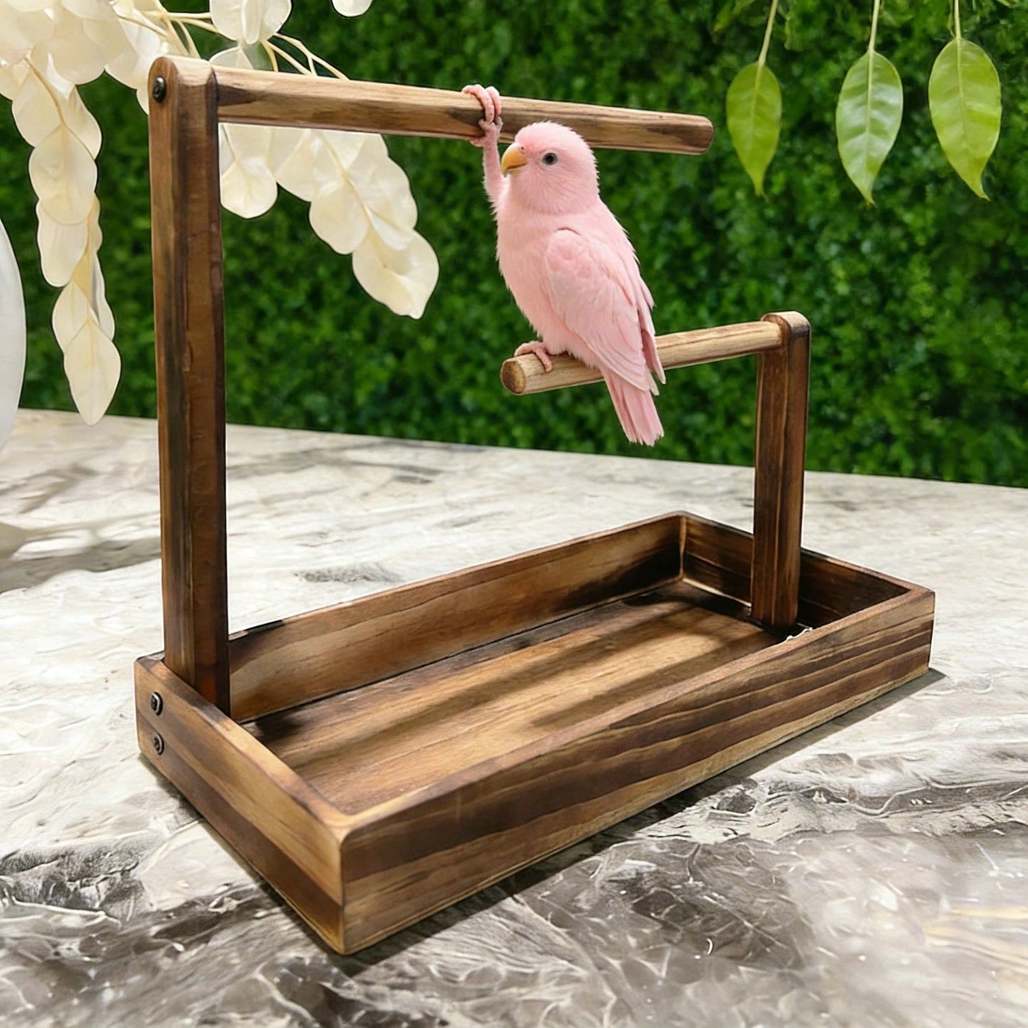 1pc Wooden Parrot Stand, Bird Perch, Bird Training Rack, Bird Toy, Bird Nest, Bird Feeder, Bird Supplies, Suitable For Parrots, Magpies And Various Birds