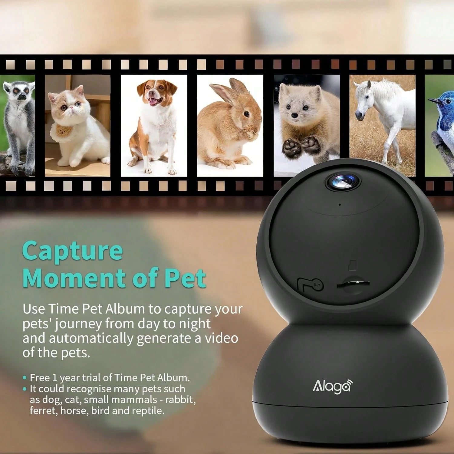 2pcs 3K, 360 ° Panoramic/Indoor/Outdoor Security Camera, Pet/Sports AI Recognition, Night Vision, Speaker, Indoor Camera With Mobile Application, Mobile Application Remote Operation, 5G And 2.4GHz WiF