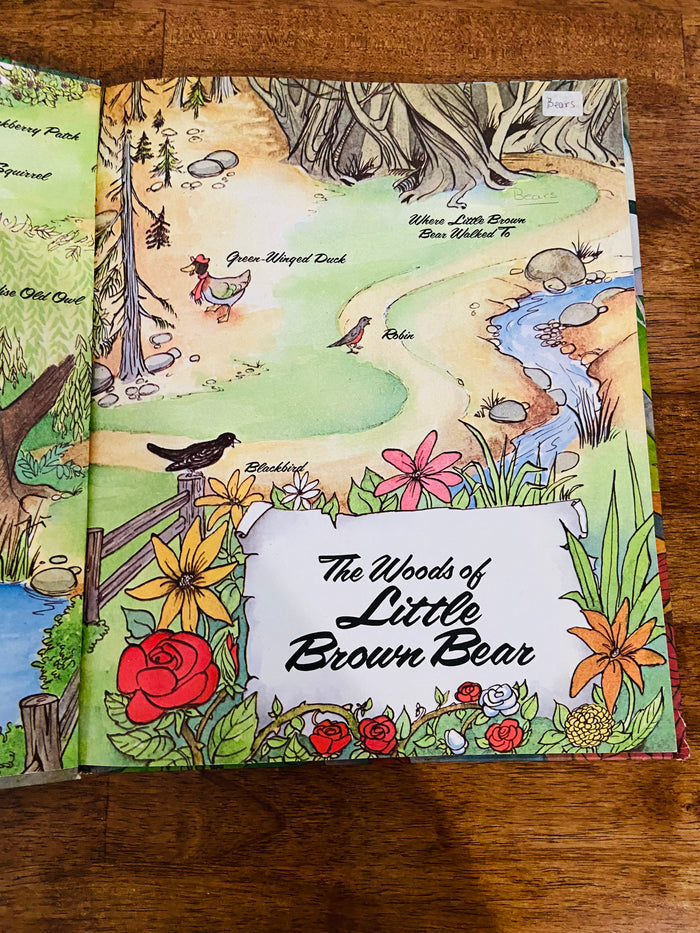 Vintage Little Brown Bear By Elizabeth Uphmam, 1979 Book - Deer Creek Mercantile