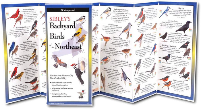 Backyard Birds of the Northeast: A Folding Pocket Guide to Identification