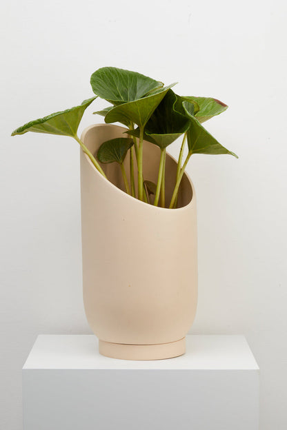 Capra Summit Planters