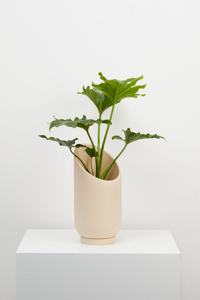 Capra Summit Planters