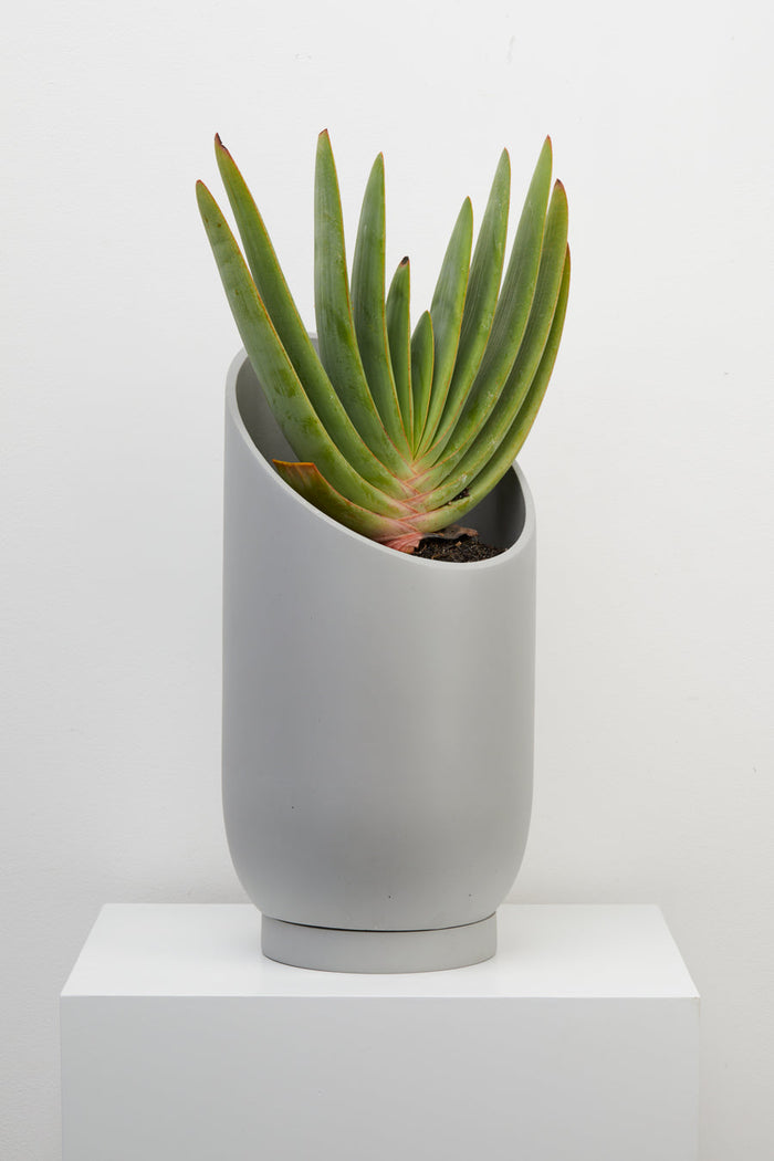 Capra Summit Planters
