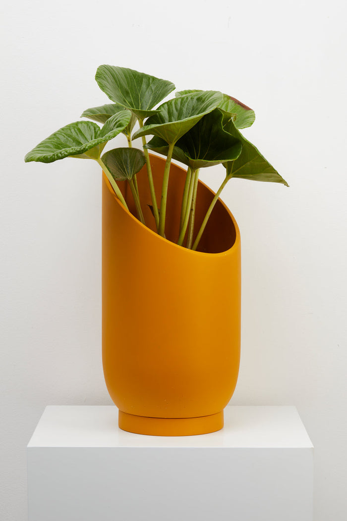 Capra Summit Planters