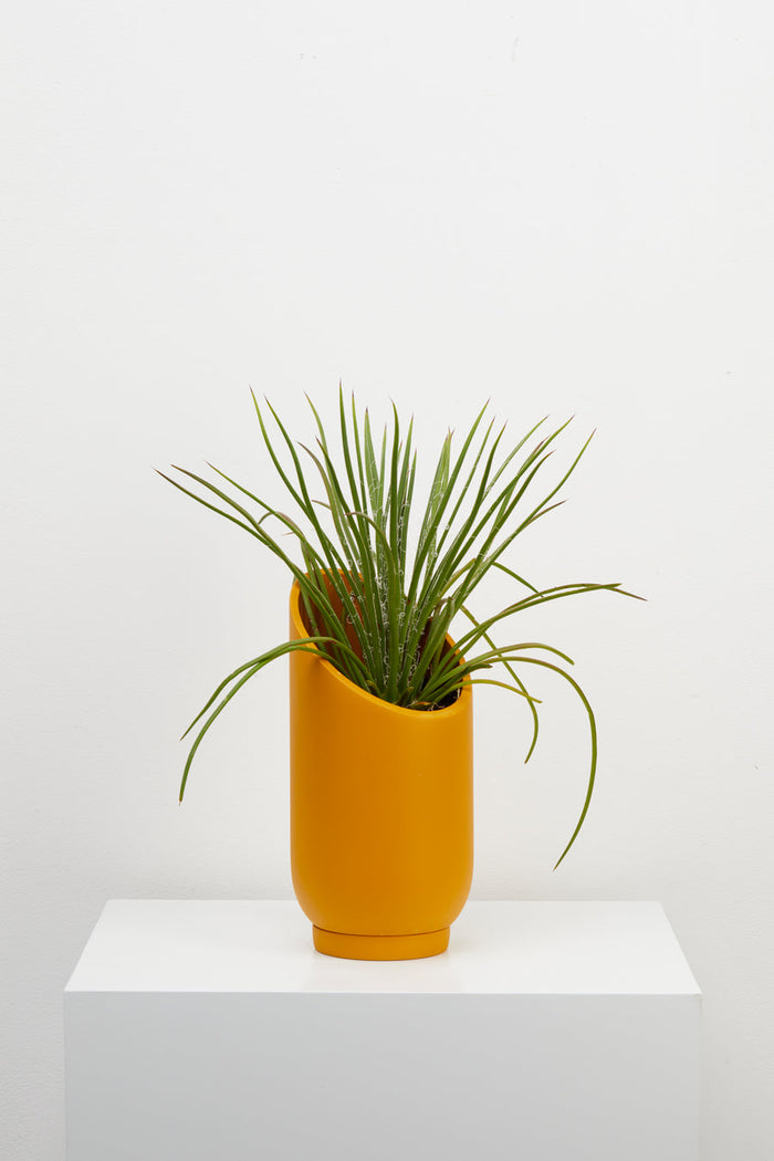 Capra Summit Planters