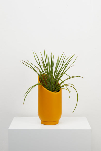 Capra Summit Planters