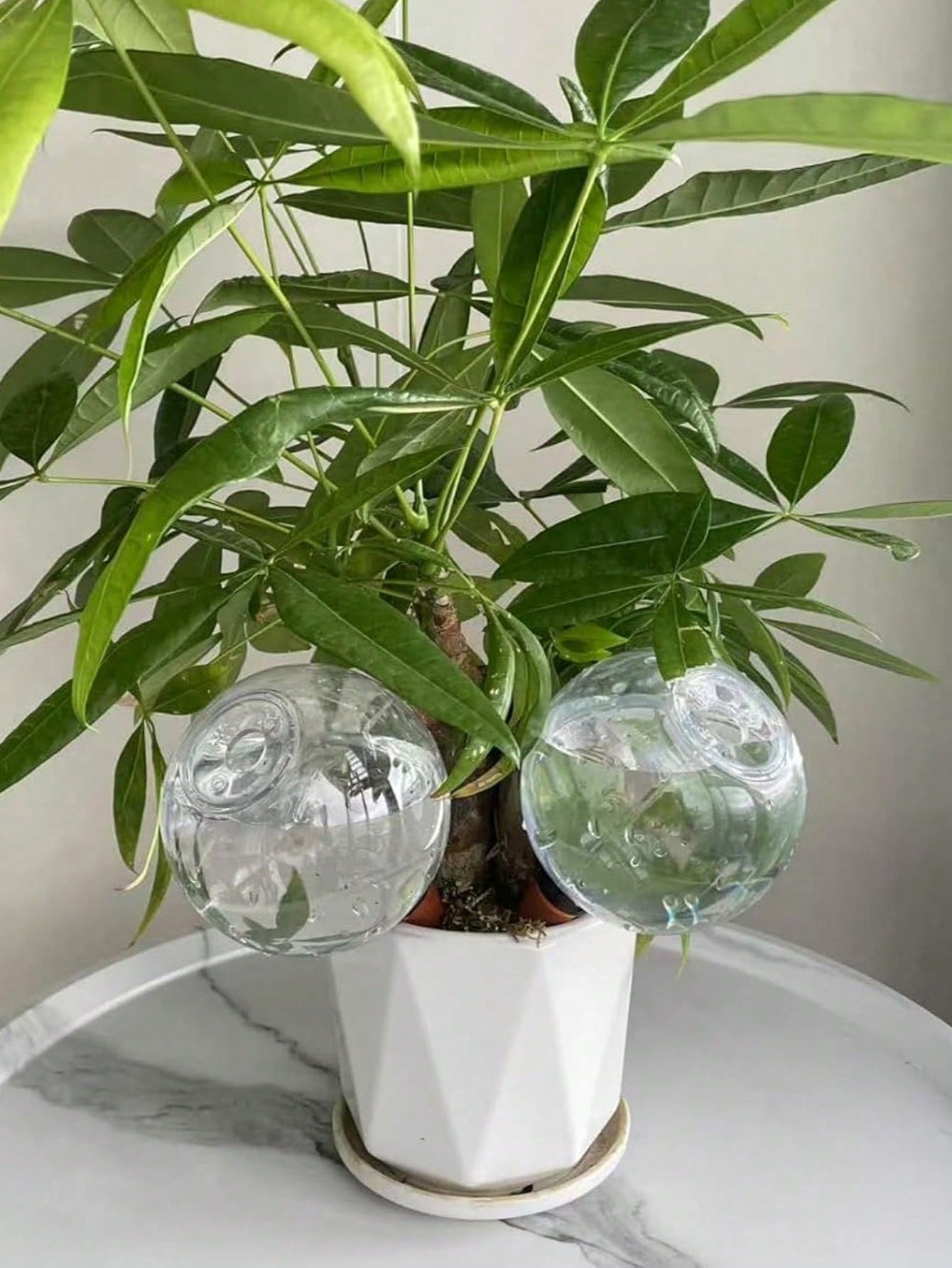 Indoor Garden Automatic Watering Tool Drip Irrigation System Watering Device For Potted Flowers And Plants 500ML Capacity Can Water Automatically For About 6 Days