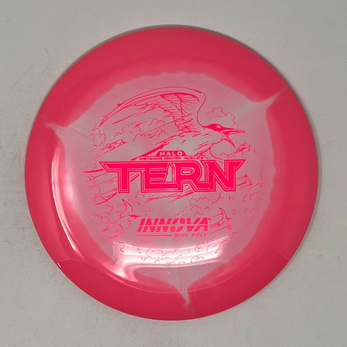 Innova Halo Star Tern