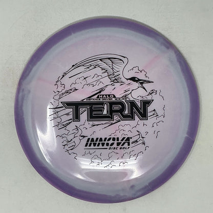 Innova Halo Star Tern