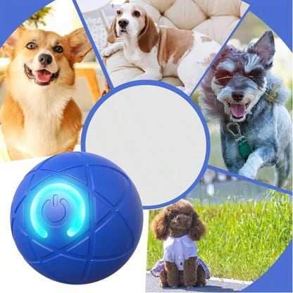 Interactive Dog Toys Dog Balls, Shaky Ball Toy For Dogs, Rechargeable Automatic Moving Swinging