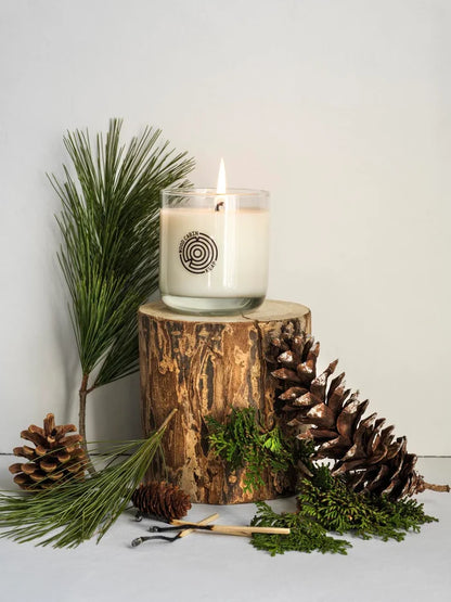 Candle on a wooden stump with pine cones and branches on a light background