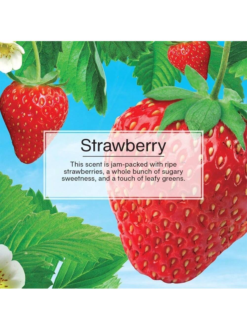 LITTLE TREES Car Air Freshener. Vent Wrap Provides Long-Lasting Scent, Slip On Vent Blade. Strawberry, 16 Air Fresheners, 4 Count (Pack Of 4)