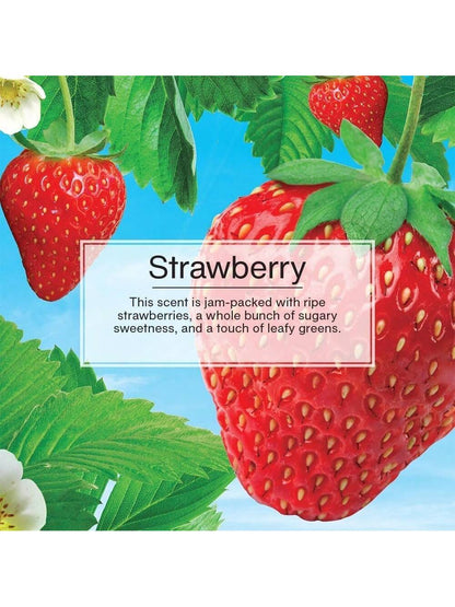 LITTLE TREES Car Air Freshener. Vent Wrap Provides Long-Lasting Scent, Slip On Vent Blade. Strawberry, 16 Air Fresheners, 4 Count (Pack Of 4)