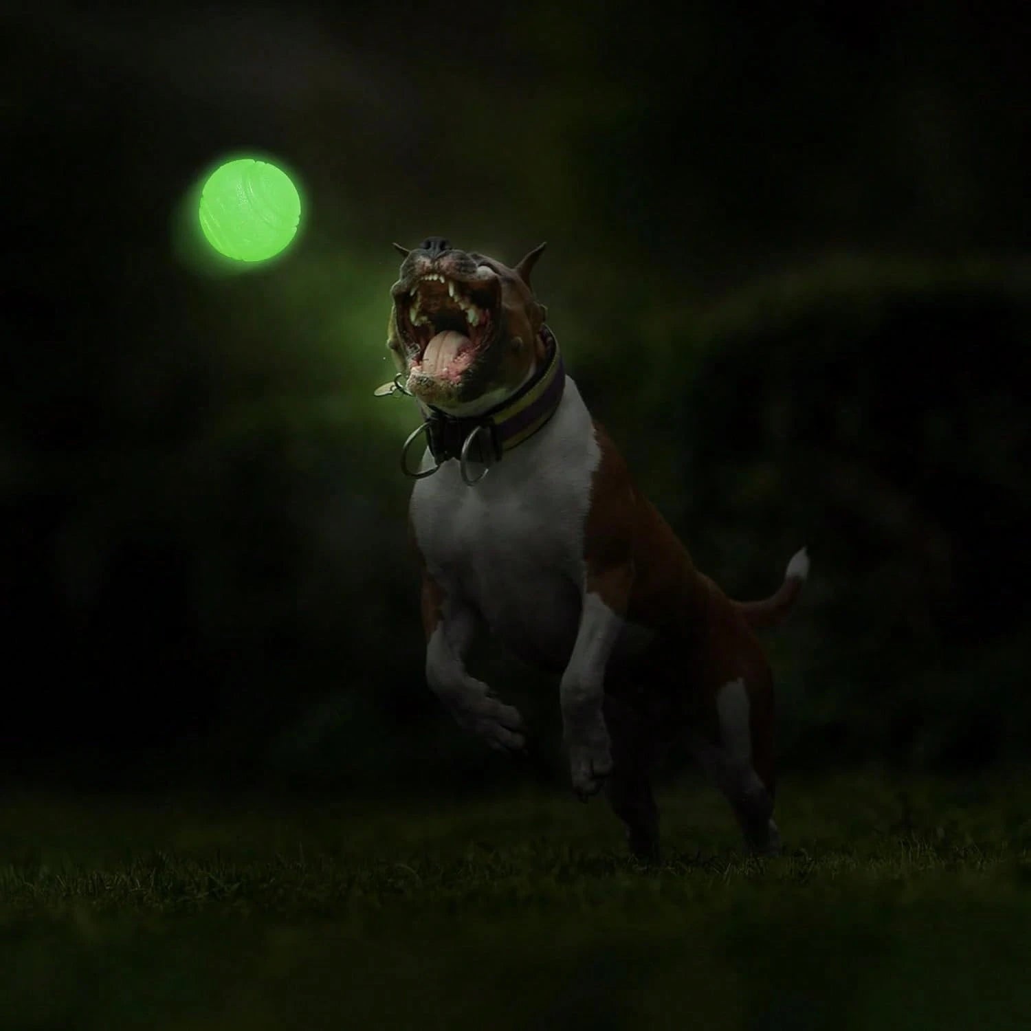 Night Glow Bouncing Ball, Pet Dog Chew Ball, Anti-Bite Toy Ball, Suitable For Training And Entertainment Of Large, Medium And Small Dogs (This Product Is An Elastic Ball, It Does Not Glow By Itself. I