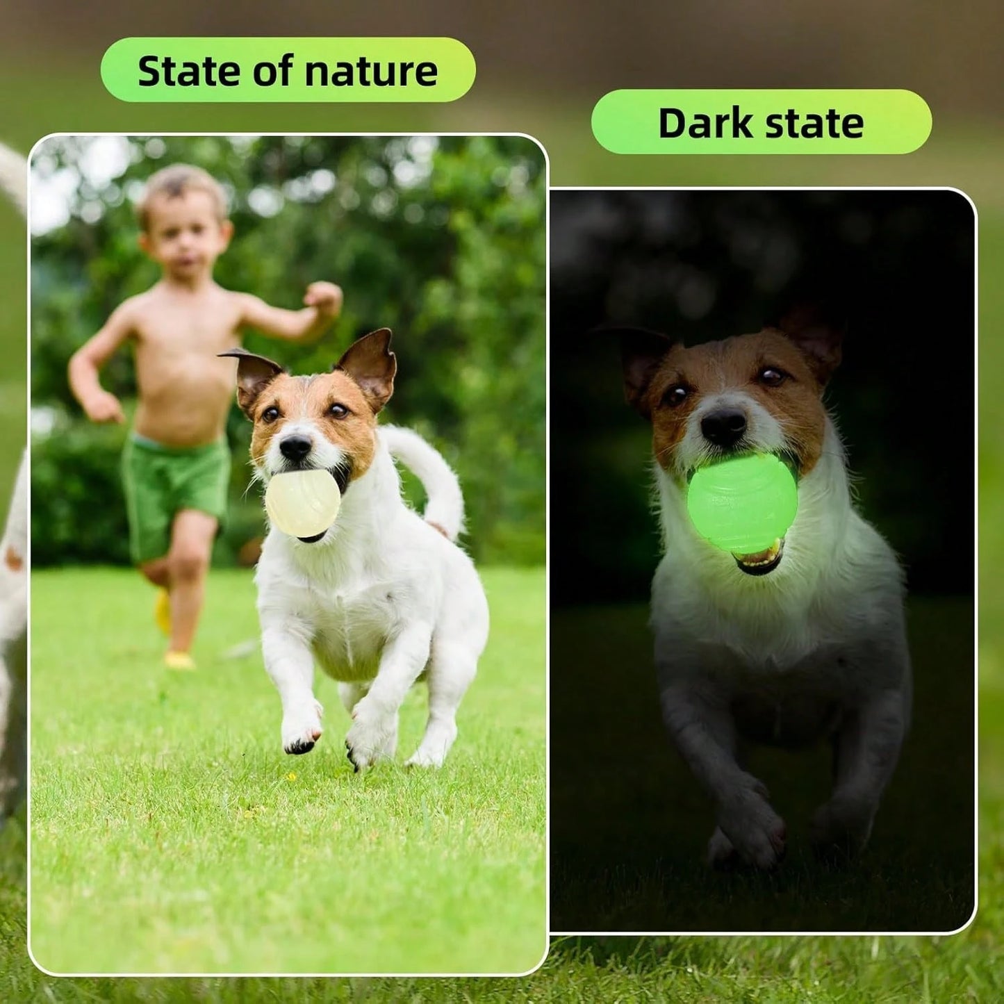 Night Glow Bouncing Ball, Pet Dog Chew Ball, Anti-Bite Toy Ball, Suitable For Training And Entertainment Of Large, Medium And Small Dogs (This Product Is An Elastic Ball, It Does Not Glow By Itself. I