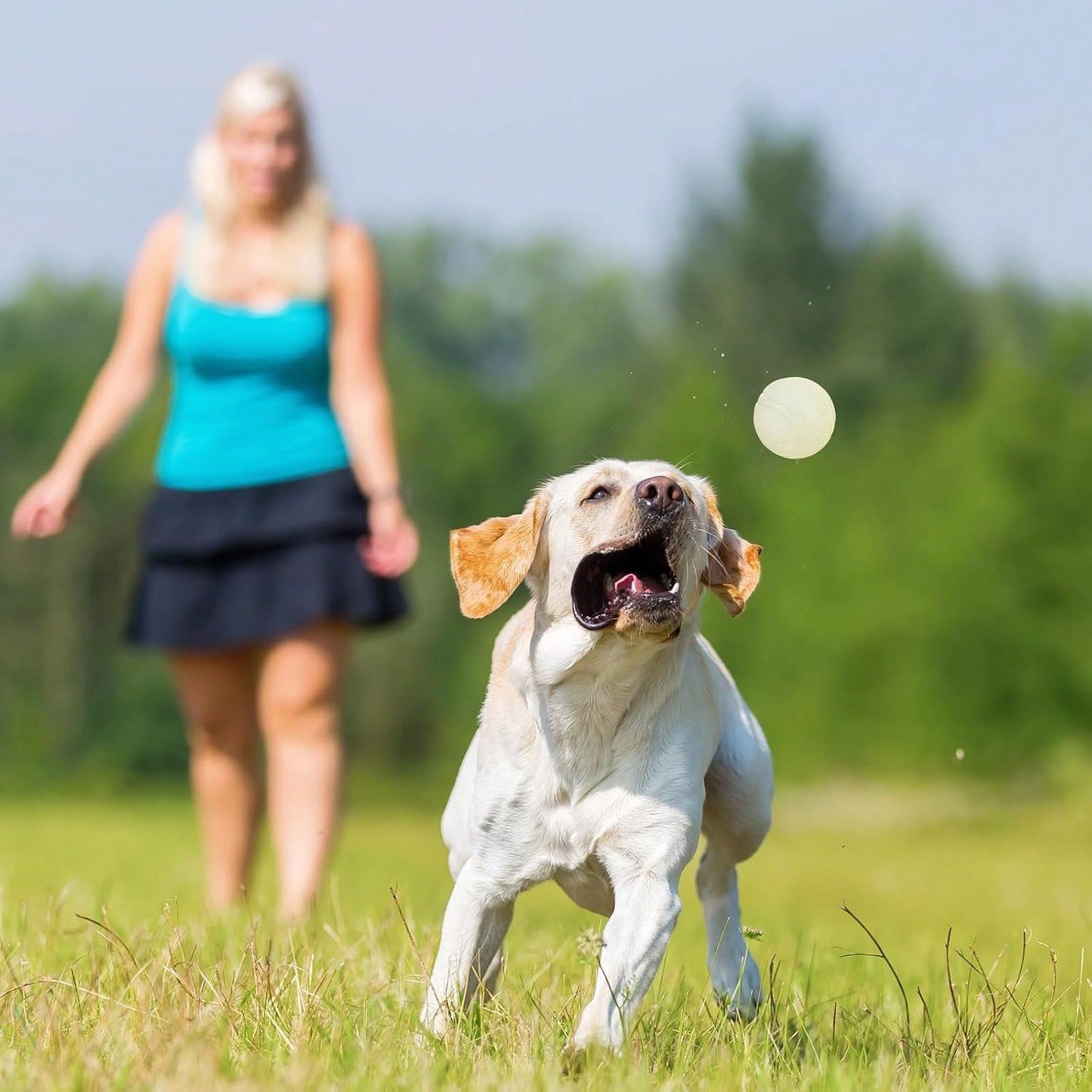 Night Glow Bouncing Ball, Pet Dog Chew Ball, Anti-Bite Toy Ball, Suitable For Training And Entertainment Of Large, Medium And Small Dogs (This Product Is An Elastic Ball, It Does Not Glow By Itself. I