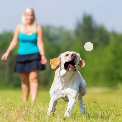 Night Glow Bouncing Ball, Pet Dog Chew Ball, Anti-Bite Toy Ball, Suitable For Training And Entertainment Of Large, Medium And Small Dogs (This Product Is An Elastic Ball, It Does Not Glow By Itself. I
