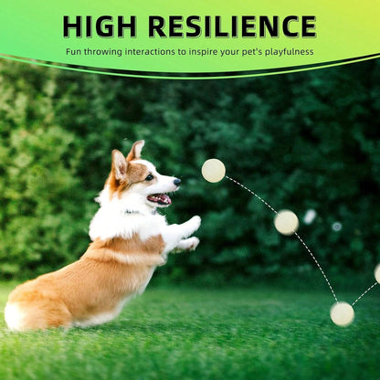 Night Glow Bouncing Ball, Pet Dog Chew Ball, Anti-Bite Toy Ball, Suitable For Training And Entertainment Of Large, Medium And Small Dogs (This Product Is An Elastic Ball, It Does Not Glow By Itself. I