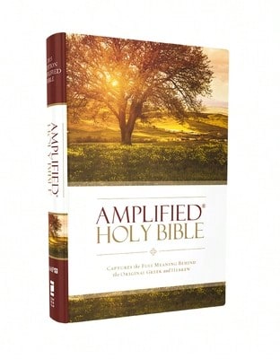 Pre-Owned The Acts Of The Apostles: A Newly Discovered Commentary (Hardcover) By Jeanette M Pifer, J B Lightfoot, Ben Witherington
