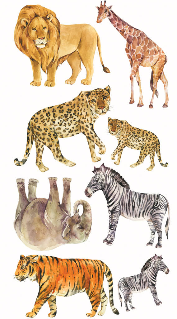 Safari Animals