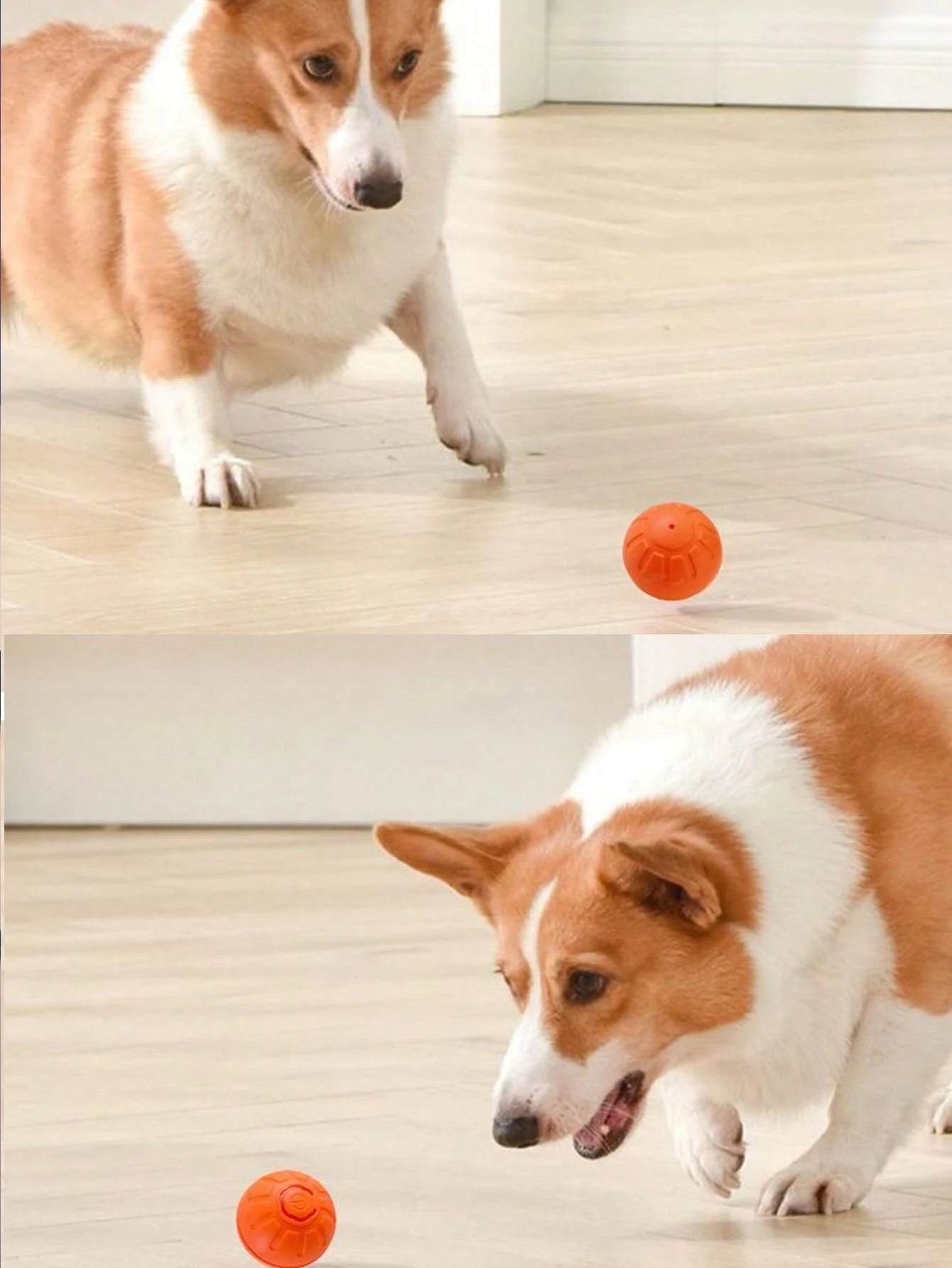 The 1pc Color Random Intelligent Pet Jump Ball Is A Fun And Durable Interactive Toy That Uses USB Charging, Thermoplastic Rubber, Random Movement, And Is Suitable For Small-Sized Dogs