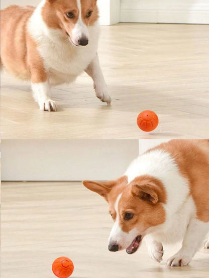 The 1pc Color Random Intelligent Pet Jump Ball Is A Fun And Durable Interactive Toy That Uses USB Charging, Thermoplastic Rubber, Random Movement, And Is Suitable For Small-Sized Dogs