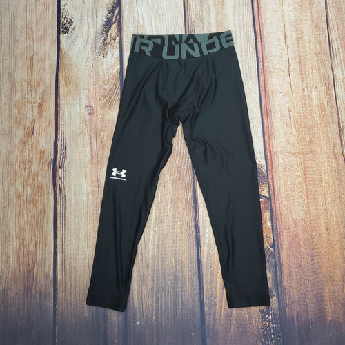 UA HG Armour Leggings